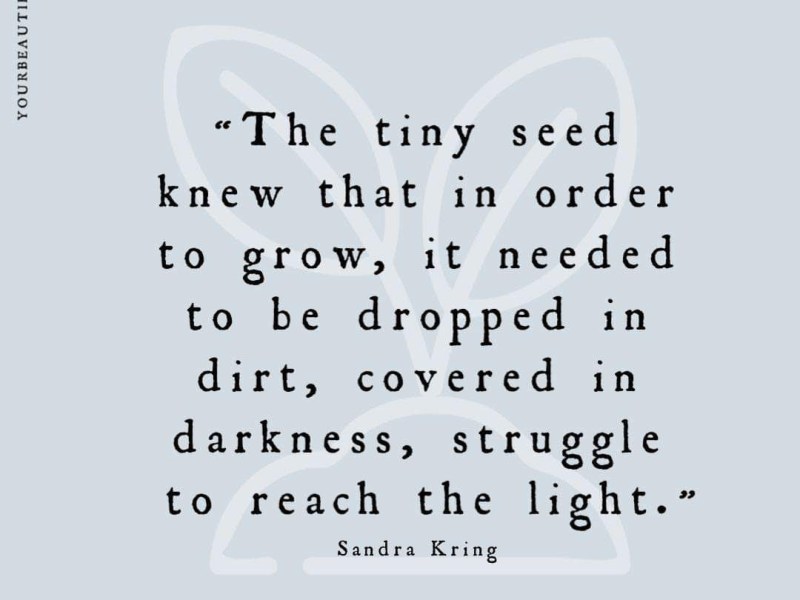 Officially Elizabeth Abilez